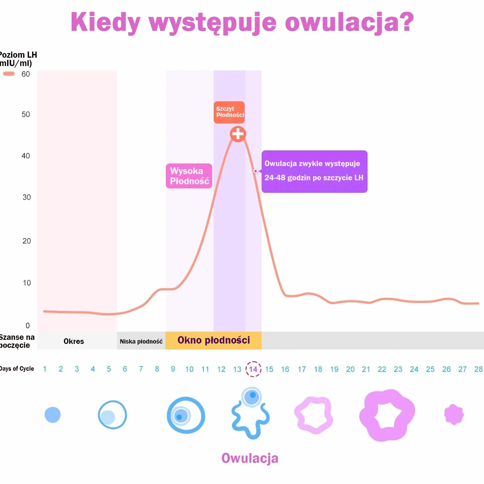 Easy@Home Test owulacyjny, 50 pasków testowych LH 25 mIU/ml, 20 testów ciążowych 10 mIU/ml – precyzyjny monitoring płodności z aplikacją Premom