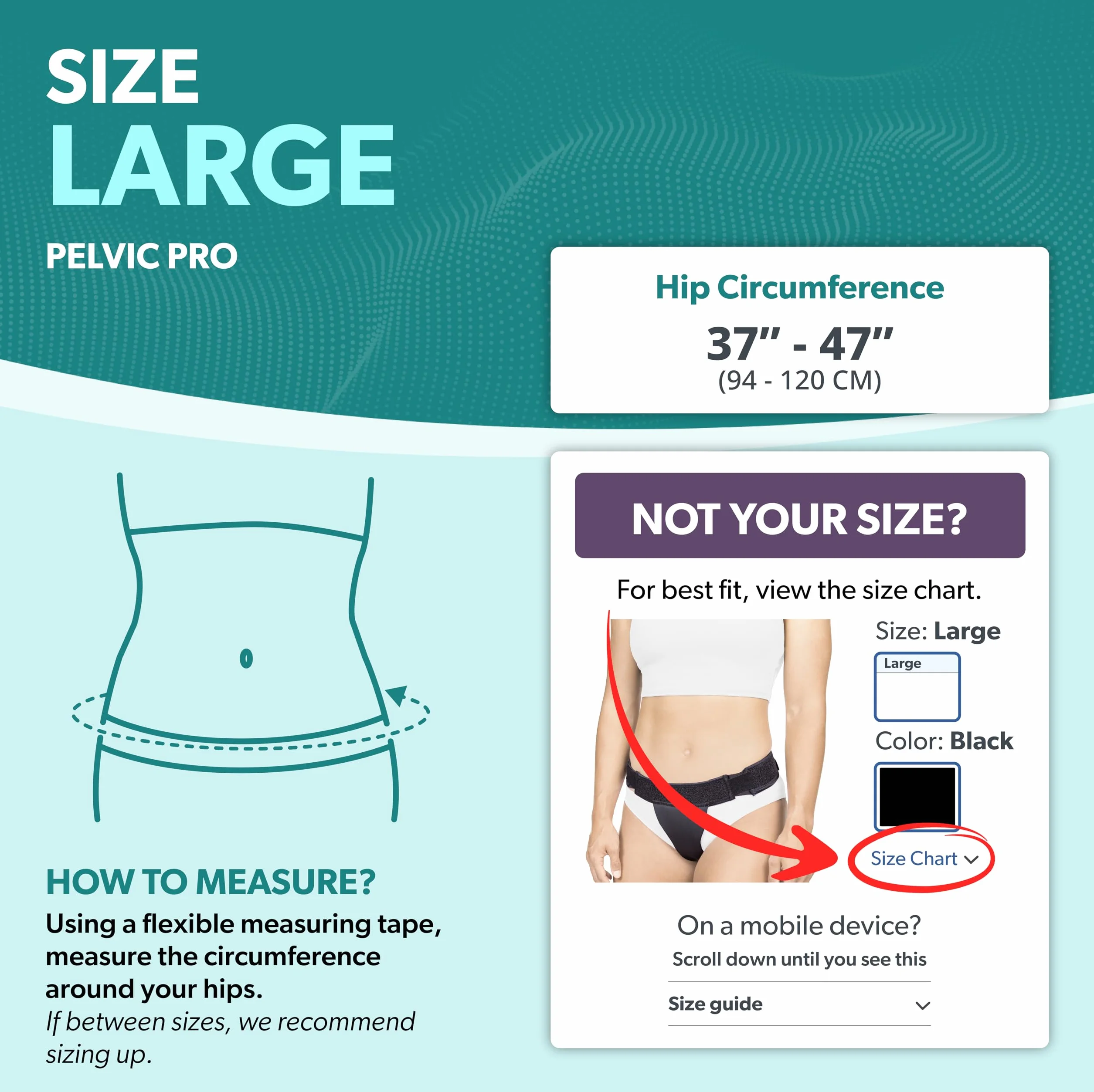 BraceAbility Pelvic Pro - Cinturón de apoyo patentado, original prolapso para el útero para mujeres que tratan la vejiga caída, prolapso uterino, varicoidades vulvares, posparto, disfunción de la