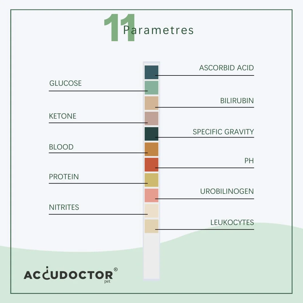 100 pasków | Accudoctor Badanie moczu Psy Koty 11 Parametry Ketony Białka Glukoza pH Paski moczu Koty Psy Badanie moczu Zdrowie Analizator zwierząt Analiza zdrowia Analiza moczu