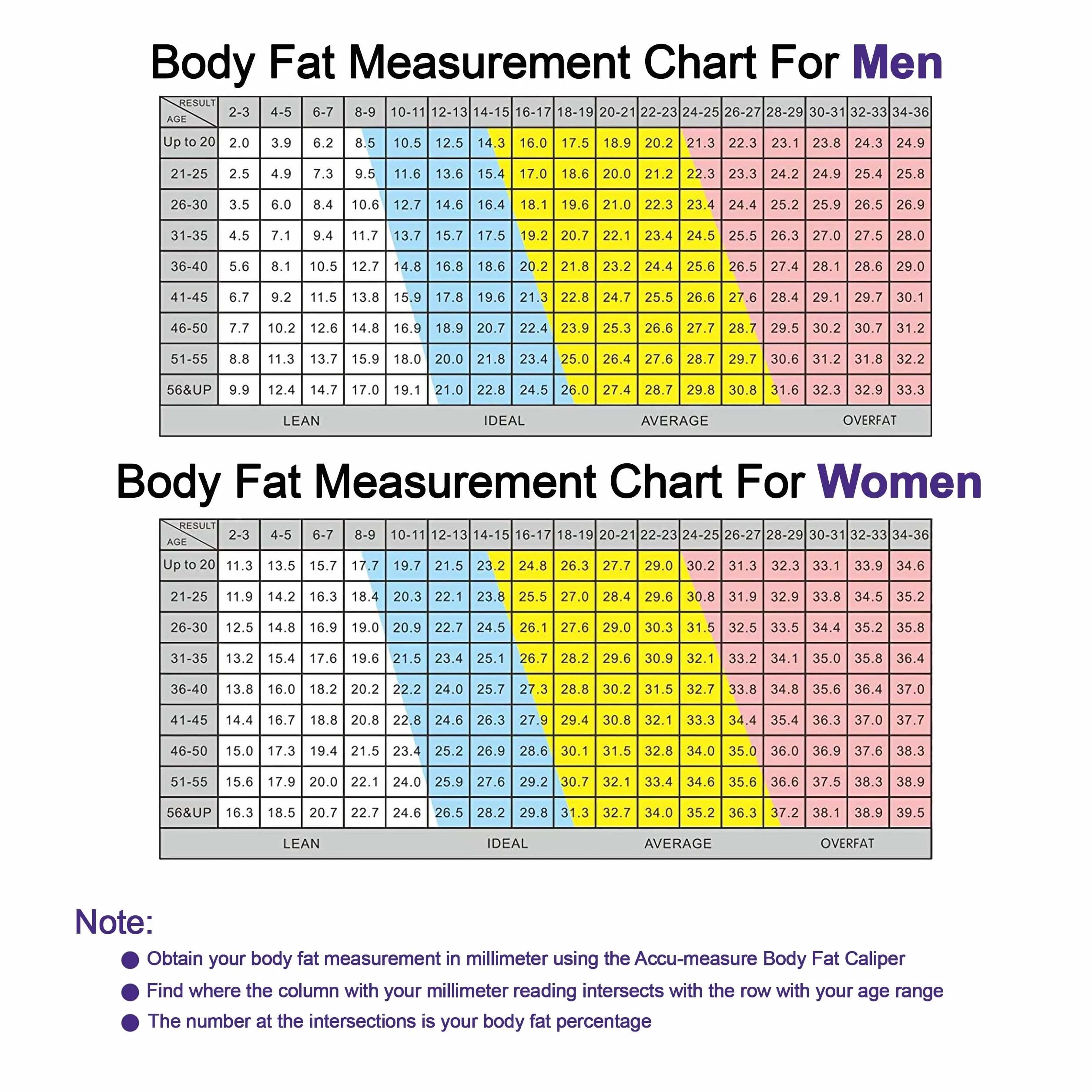 Accu Measure Fitness 3000 osobisty tester tkanki tłuszczowej